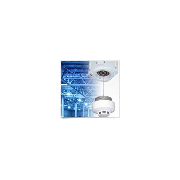ICEBERG SUPPLY CO., LTD.