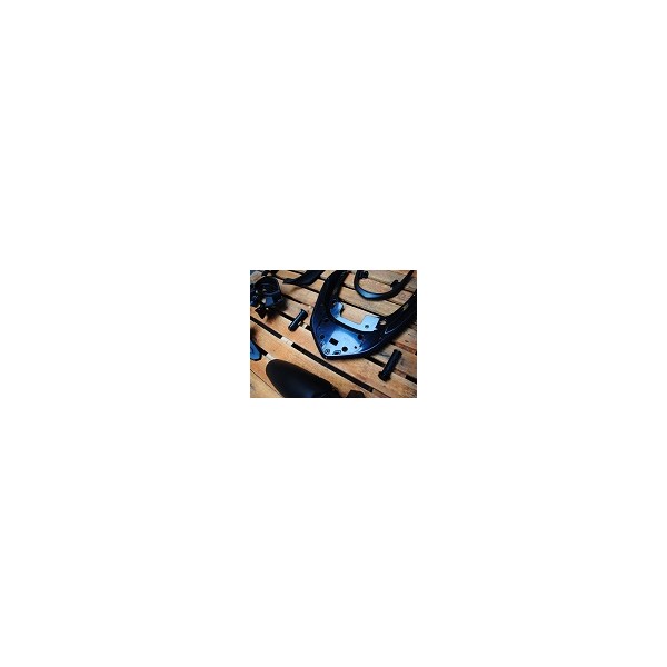 THE CENTURY PLASTIC CO., LTD.