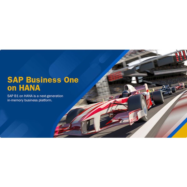 SAP B1 on HANA: Business Management Solution with Cutting-Edge Technology